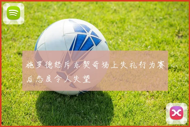 施罗德怒斥东契奇场上失礼行为赛后态度令人失望