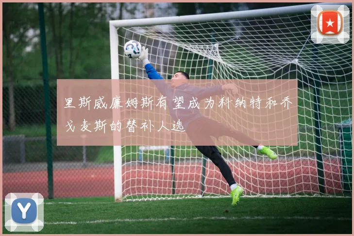 里斯威廉姆斯有望成为科纳特和乔戈麦斯的替补人选