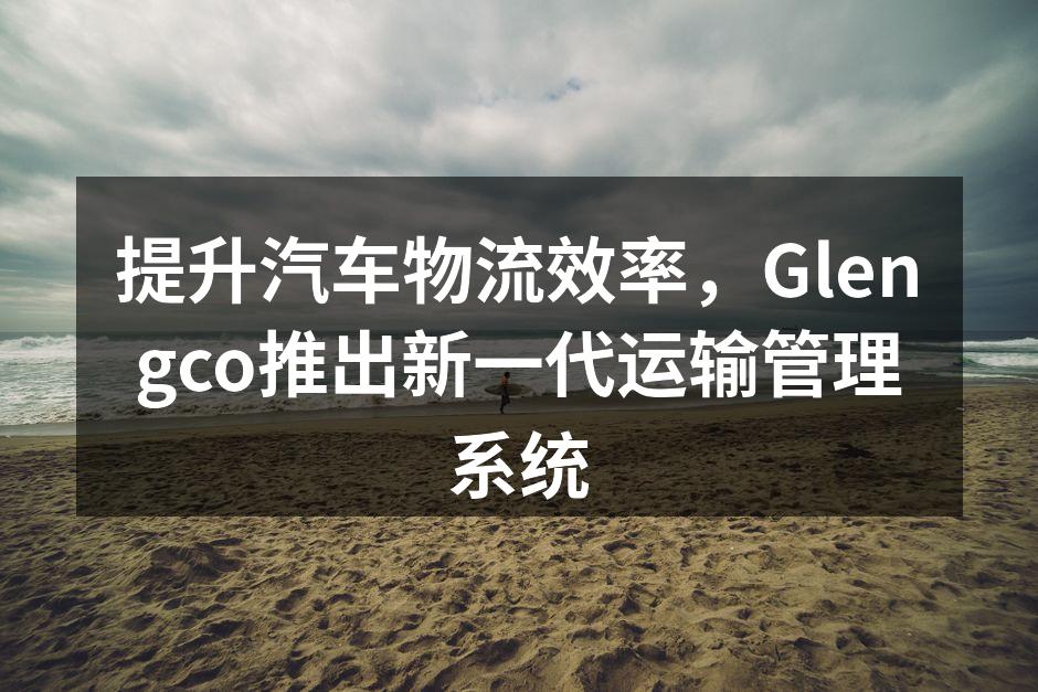新一代运输管理系统界面展示